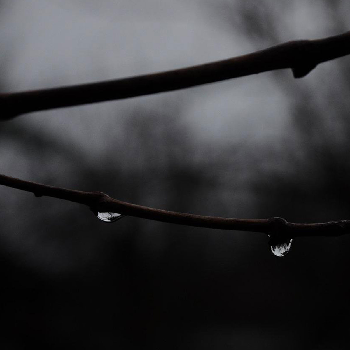 Orgasmique Journal - Faire l'amour sous la pluie